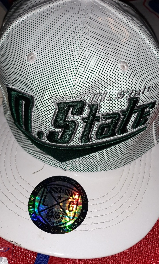 michigan state hat
